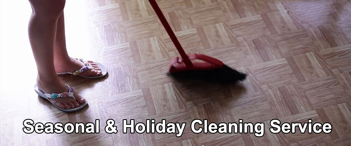 Seasonal Cleaning / Spring Cleaning